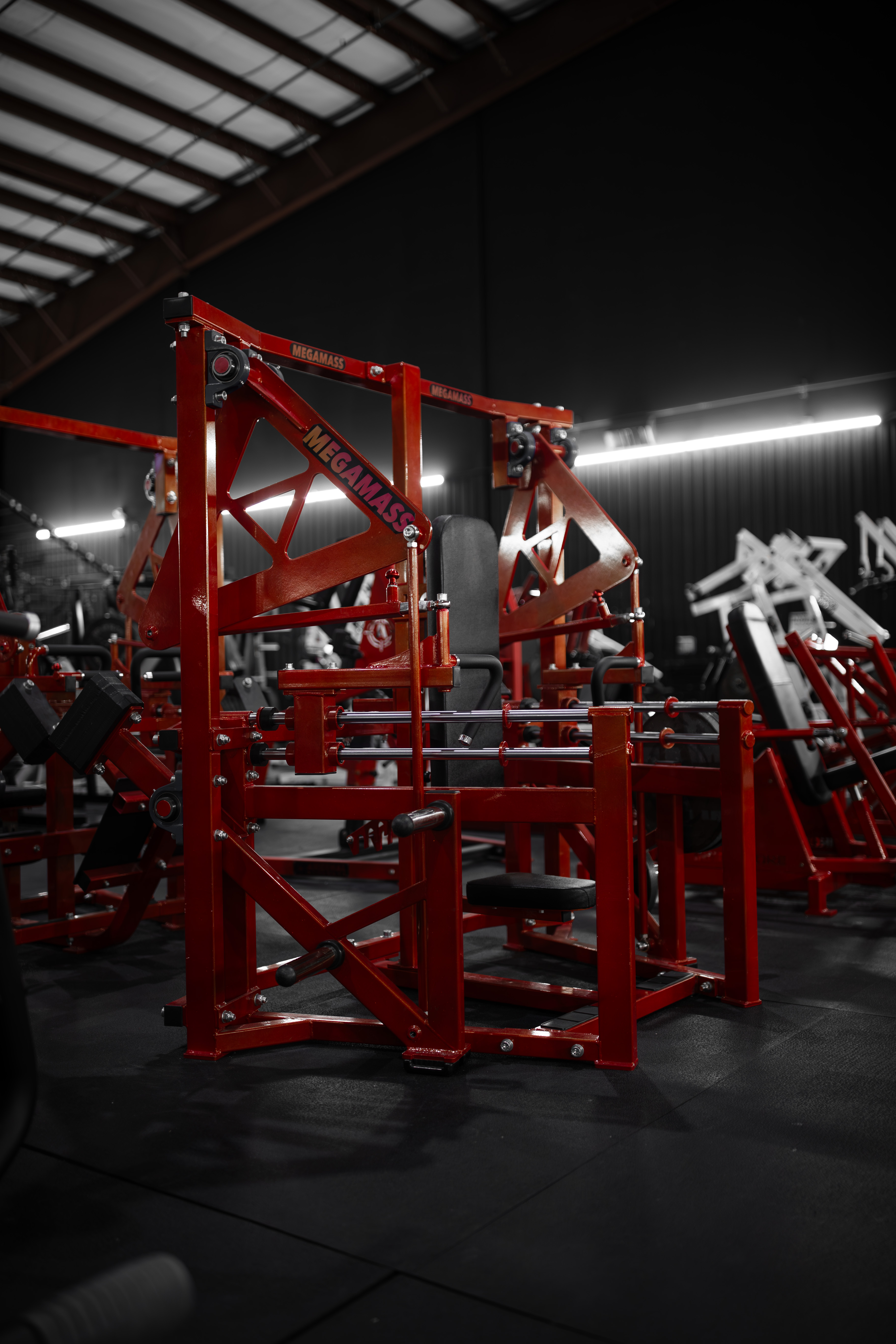 Mega Mass Chest Press at Roman Empire Gym